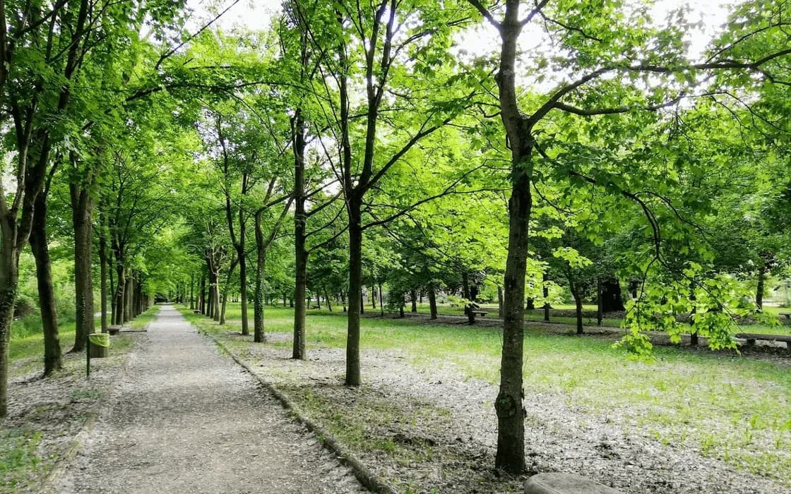 Parco ex INPS "Pietro D'Abano"