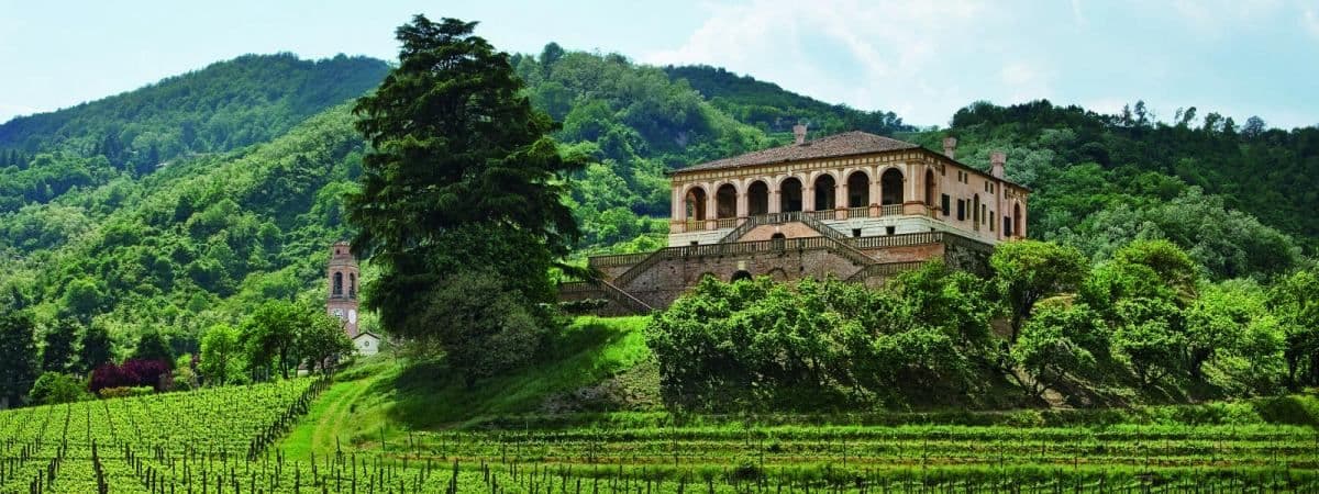 Villa Vescovi